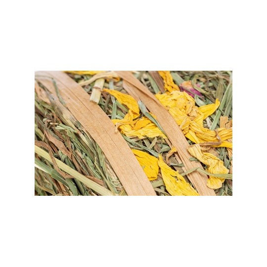 Trixie Hooirol Met Bloesems