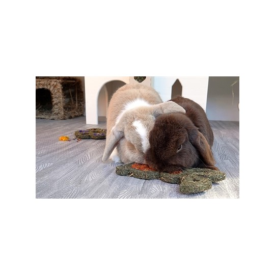 Naturals Rosewood Naturals Carrot 'N' Forage Bunny