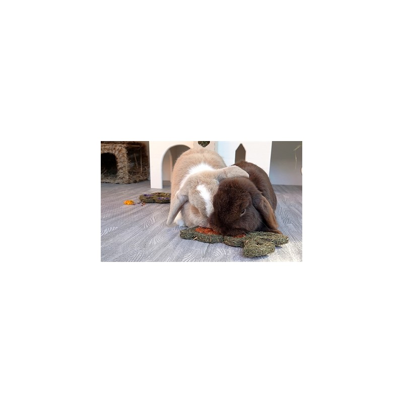 Naturals Rosewood Naturals Carrot 'N' Forage Bunny