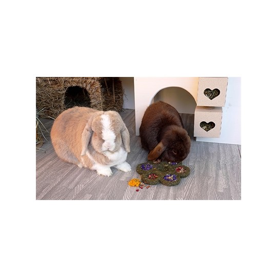 Naturals Rosewood Naturals Flower 'N' Forage Blossom