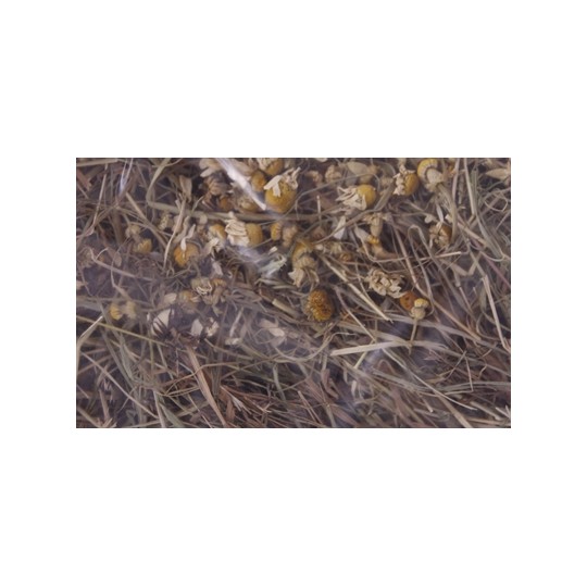 Excellent Kruidenhooi Kamille En Paardenbloem