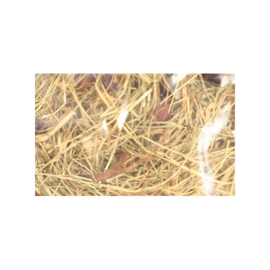 Excellent Kruidenhooi Rozenbottel En Mint