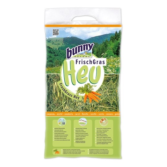 Bunny Nature Vers Gras Hooi Met Wortel