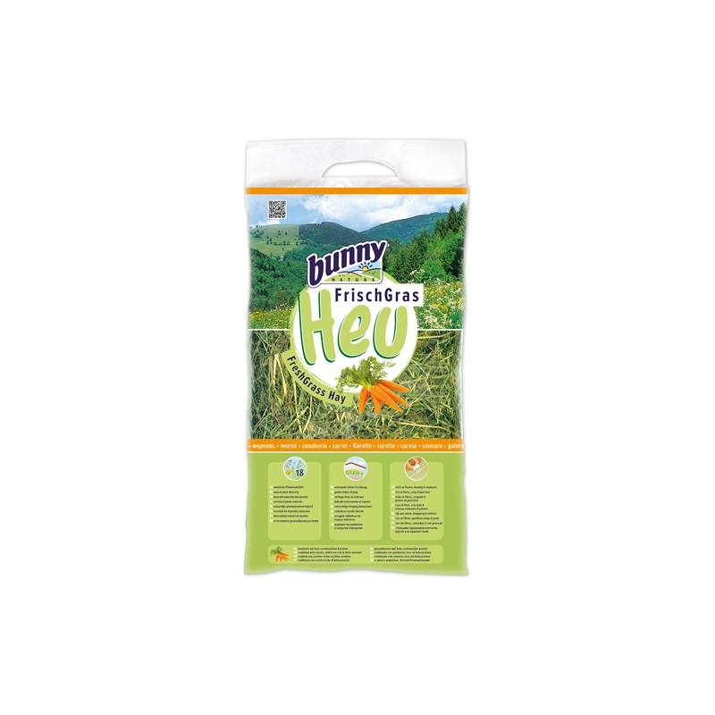 Bunny Nature Vers Gras Hooi Met Wortel