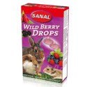 Sanal Knaagdier 3-Pack Drops Yogurt / Salad / Wild Berry