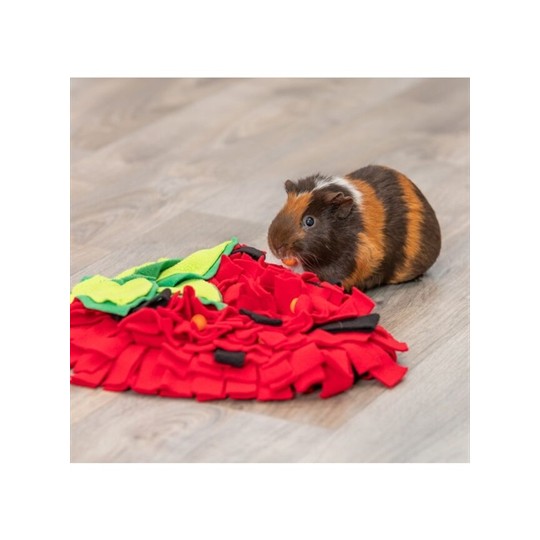 Trixie Snuffelmat Aardbei Rood