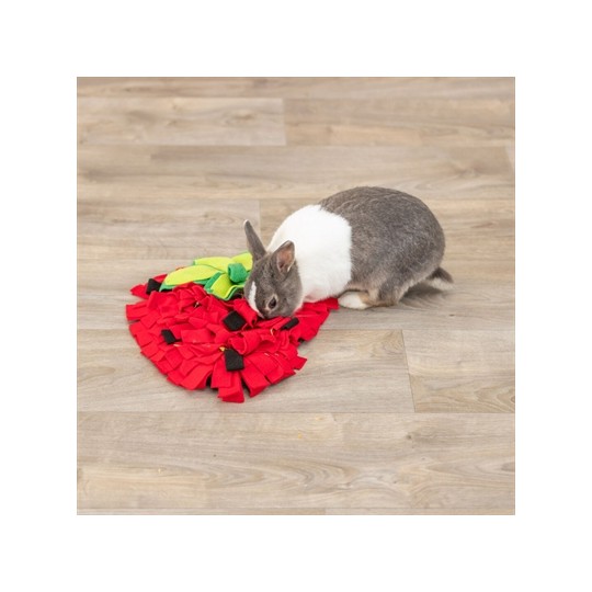 Trixie Snuffelmat Aardbei Rood