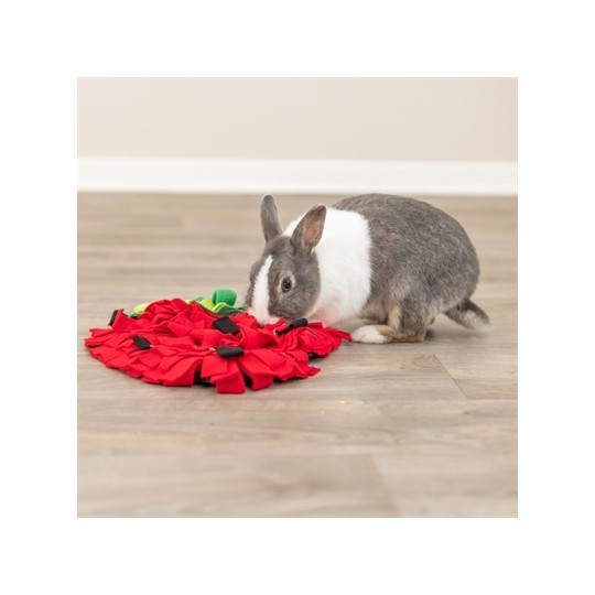 Trixie Snuffelmat Aardbei Rood