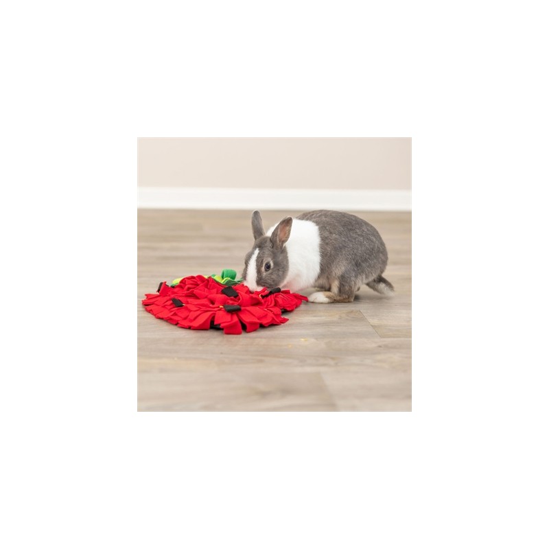 Trixie Snuffelmat Aardbei Rood