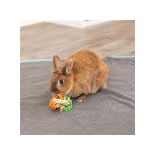 Trixie Ringen Van Maislies