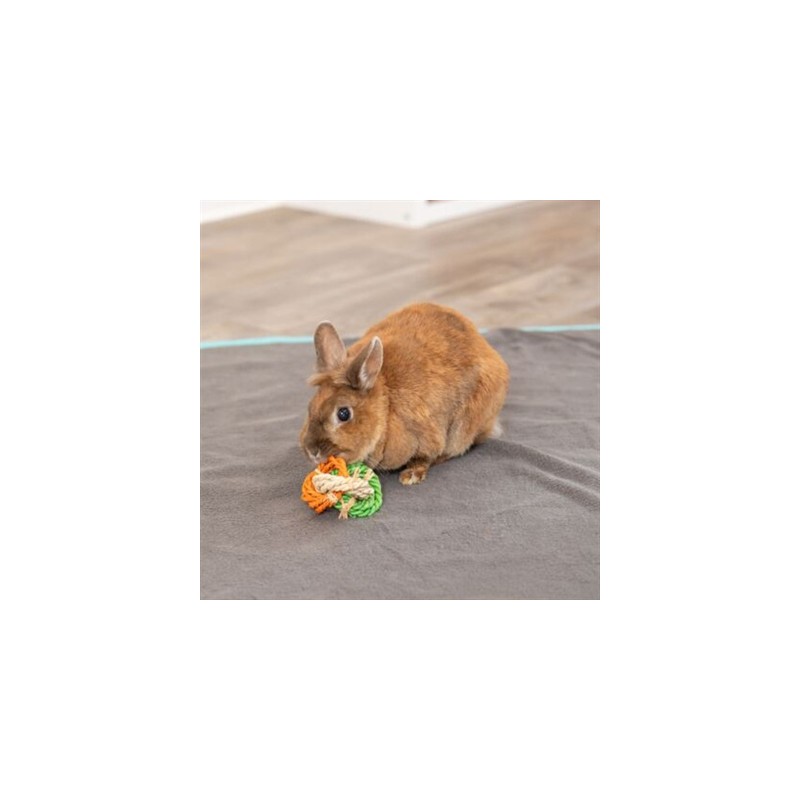 Trixie Ringen Van Maislies