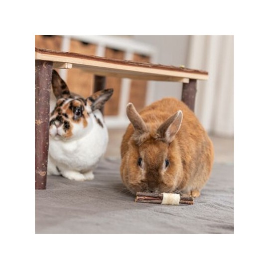 Trixie Set Sticks Met Luffa / Schorshout / Zeegras