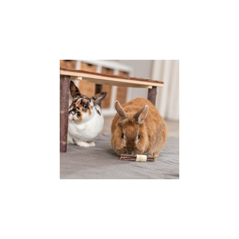 Trixie Set Sticks Met Luffa / Schorshout / Zeegras