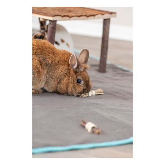 Trixie Set Sticks Met Luffa / Schorshout / Zeegras