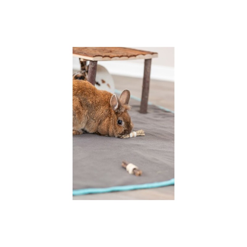 Trixie Set Sticks Met Luffa / Schorshout / Zeegras