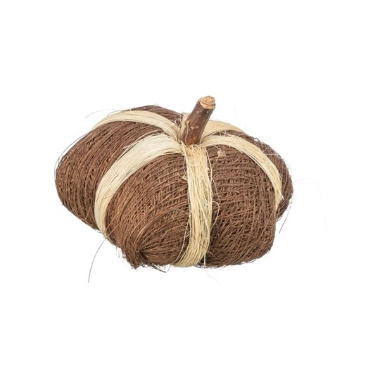 Trixie Pompoen Van Kokosvezels