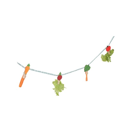 Zolux Neolife Snack Slinger Konijn Groen