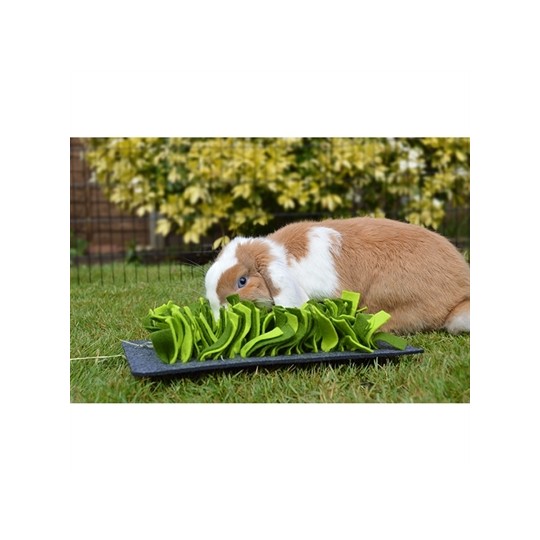 Rosewood Snuffelmat Knaagdier Zwart / Groen