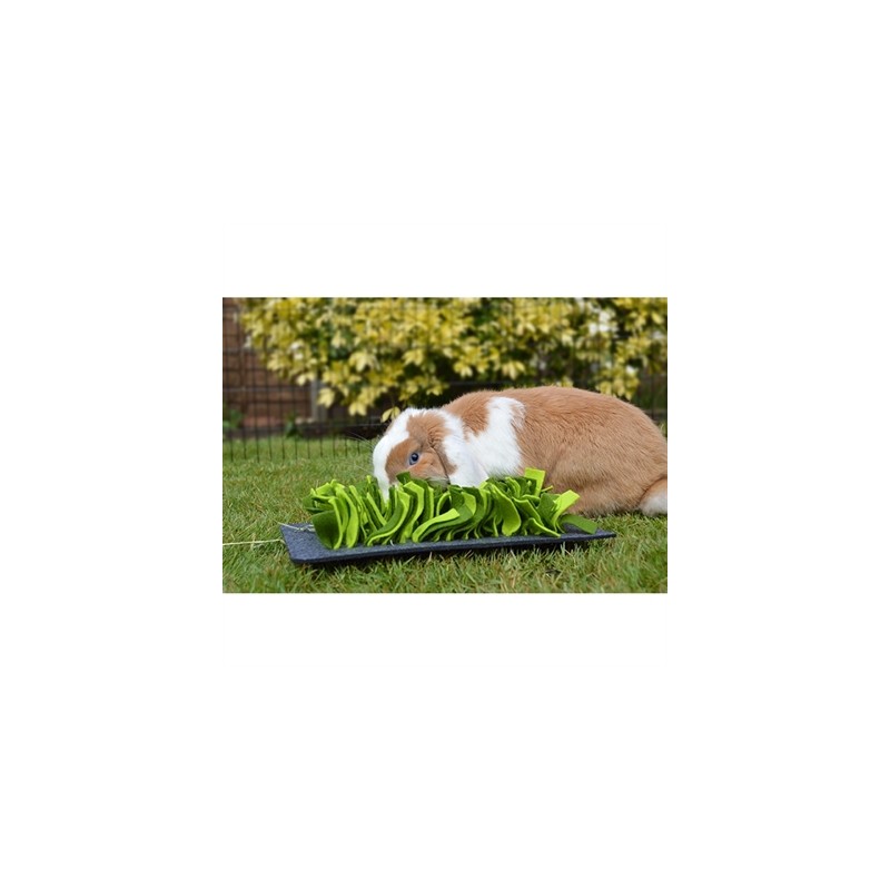 Rosewood Snuffelmat Knaagdier Zwart / Groen