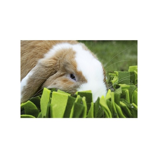 Rosewood Snuffelmat Knaagdier Zwart / Groen