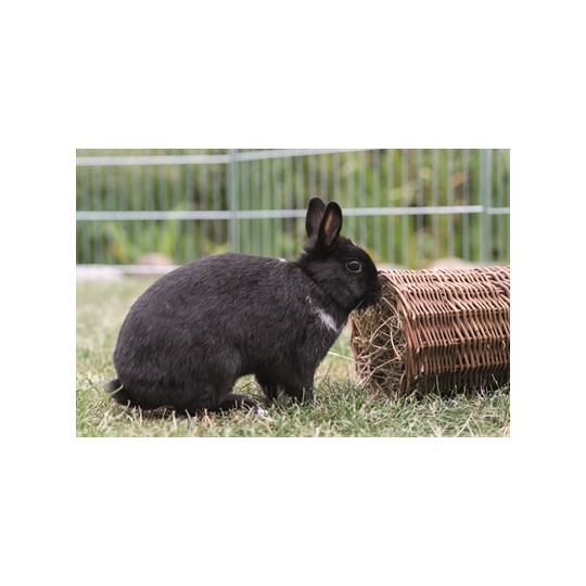 Trixie Wilgentunnel Konijn