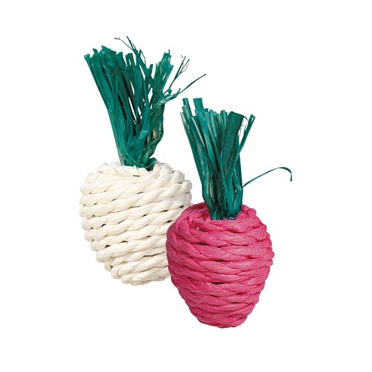 Trixie Radijs En Rettich Met Stro