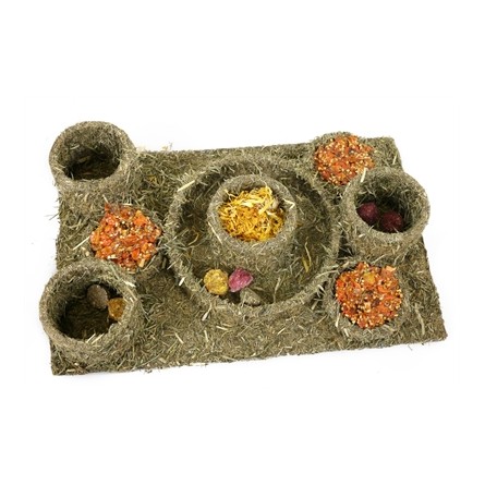 Naturals Rosewood Naturals Hide N Treat Maze