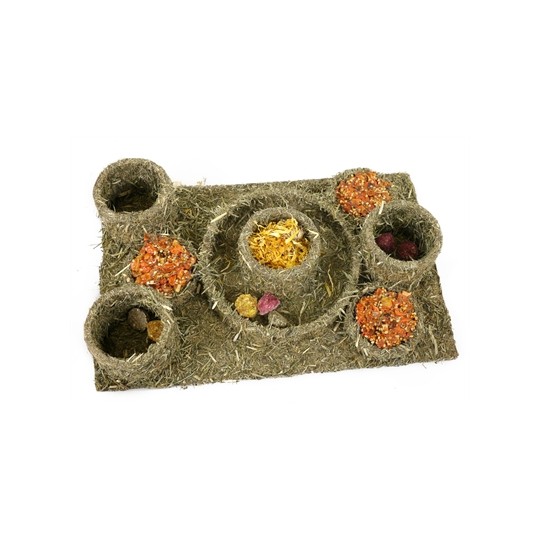 Naturals Rosewood Naturals Hide N Treat Maze