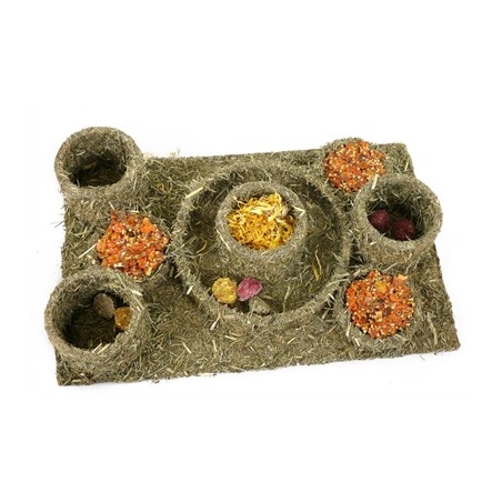 Naturals Rosewood Naturals Hide N Treat Maze