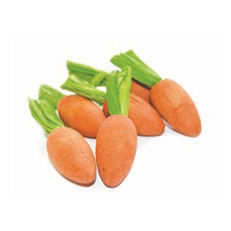 Critter's Choice Happy Pet Carrot Nibblers Knaaghout