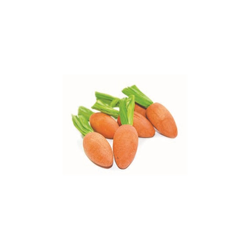 Critter's Choice Happy Pet Carrot Nibblers Knaaghout