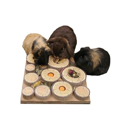 Rosewood Maze-A-Log Treat Challenge