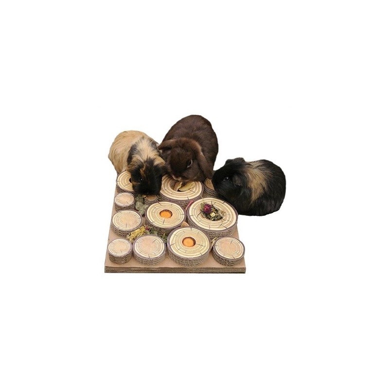 Rosewood Maze-A-Log Treat Challenge