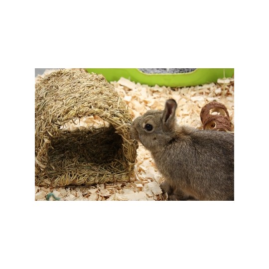 Happy Pet Grassy Tunnel