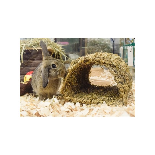 Happy Pet Grassy Tunnel