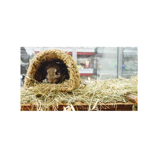 Happy Pet Grassy Tunnel