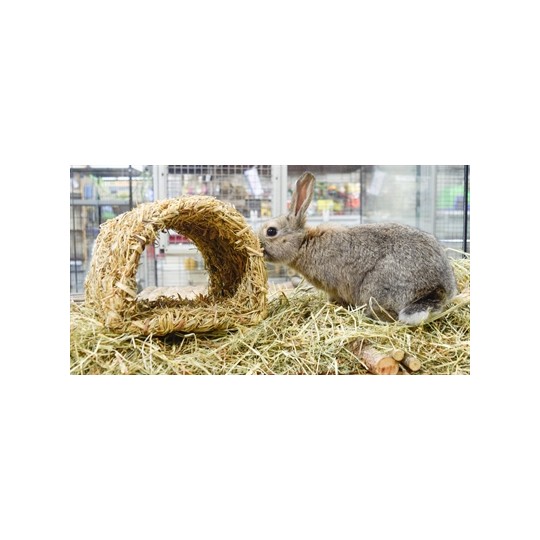 Happy Pet Grassy Tunnel