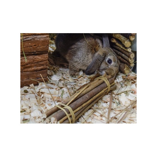 Happy Pet Wilgen Value Pack 2 Sticks / 2 Ballen