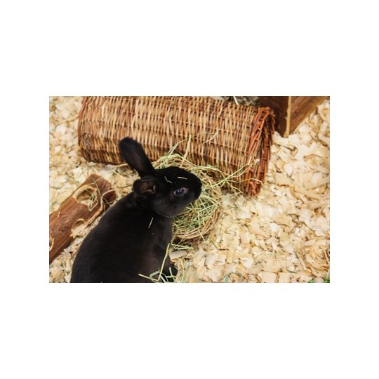 Nature First Happy Pet Wilgen Hooirek