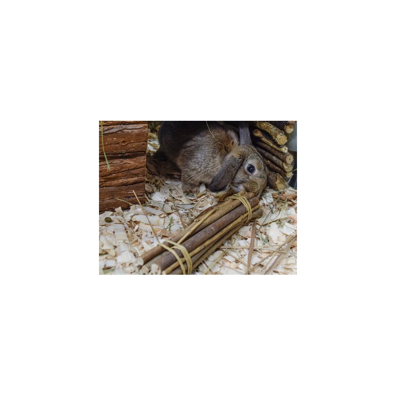 Nature First Happy Pet Willow Sticks