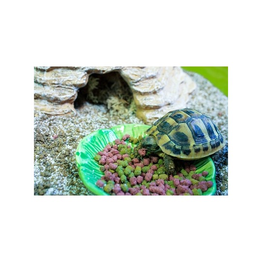 Happy Pet Voerbak Green Leaf Groen