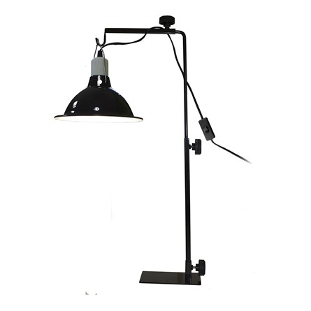 Komodo Licht Standaard