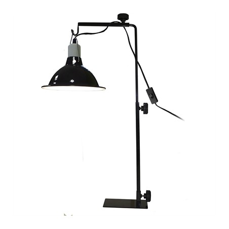 Komodo Licht Standaard