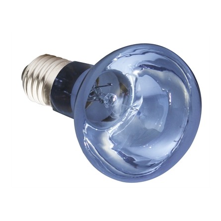 Komodo Neodymium Daglicht Lamp Es