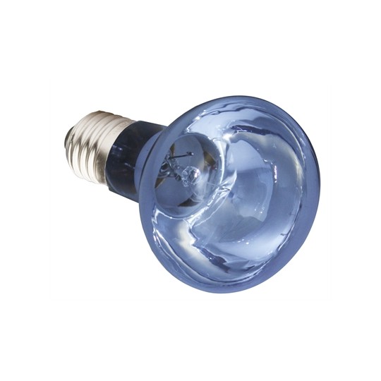 Komodo Neodymium Daglicht Lamp Es