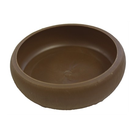 Komodo Meelworm Schaaltje