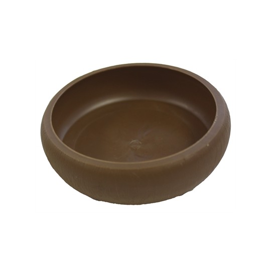 Komodo Meelworm Schaaltje