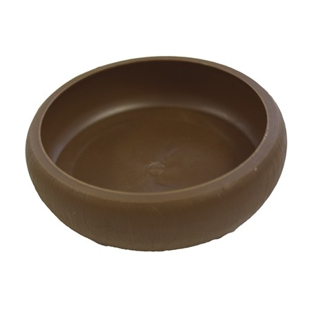 Komodo Meelworm Schaaltje