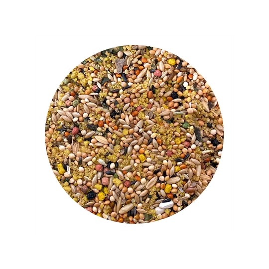 Utopia Parkieten Top Quality