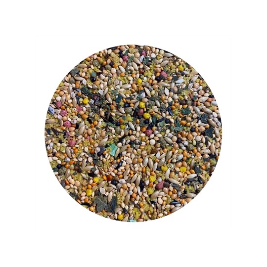 Utopia Tropische Vogels Top Quality